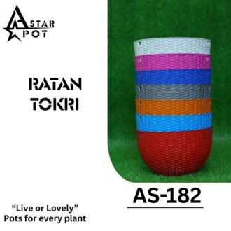 Ratan Tokri