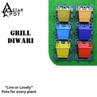 Gril Diwari