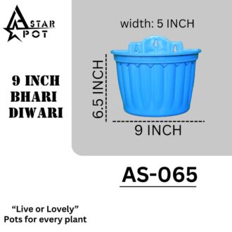 9 inch Big Diwari
