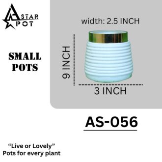Small Pots